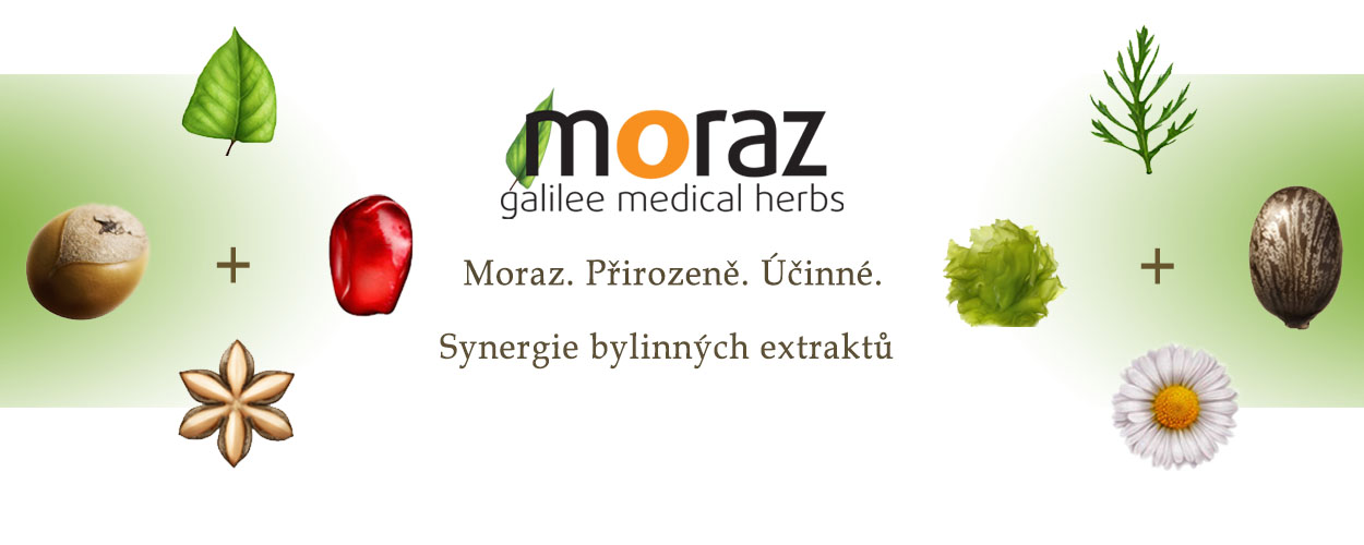 MORAZ_2_